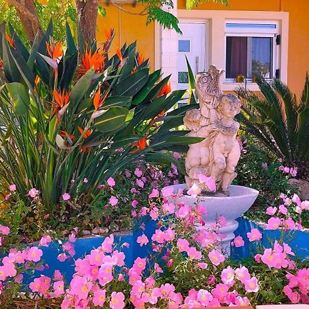 Iris Apartment Near Corfu Town Контокали Экстерьер фото